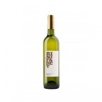 Vino blanco chardonnay (binifadet) Vino blanco chardonnay (binifadet)
